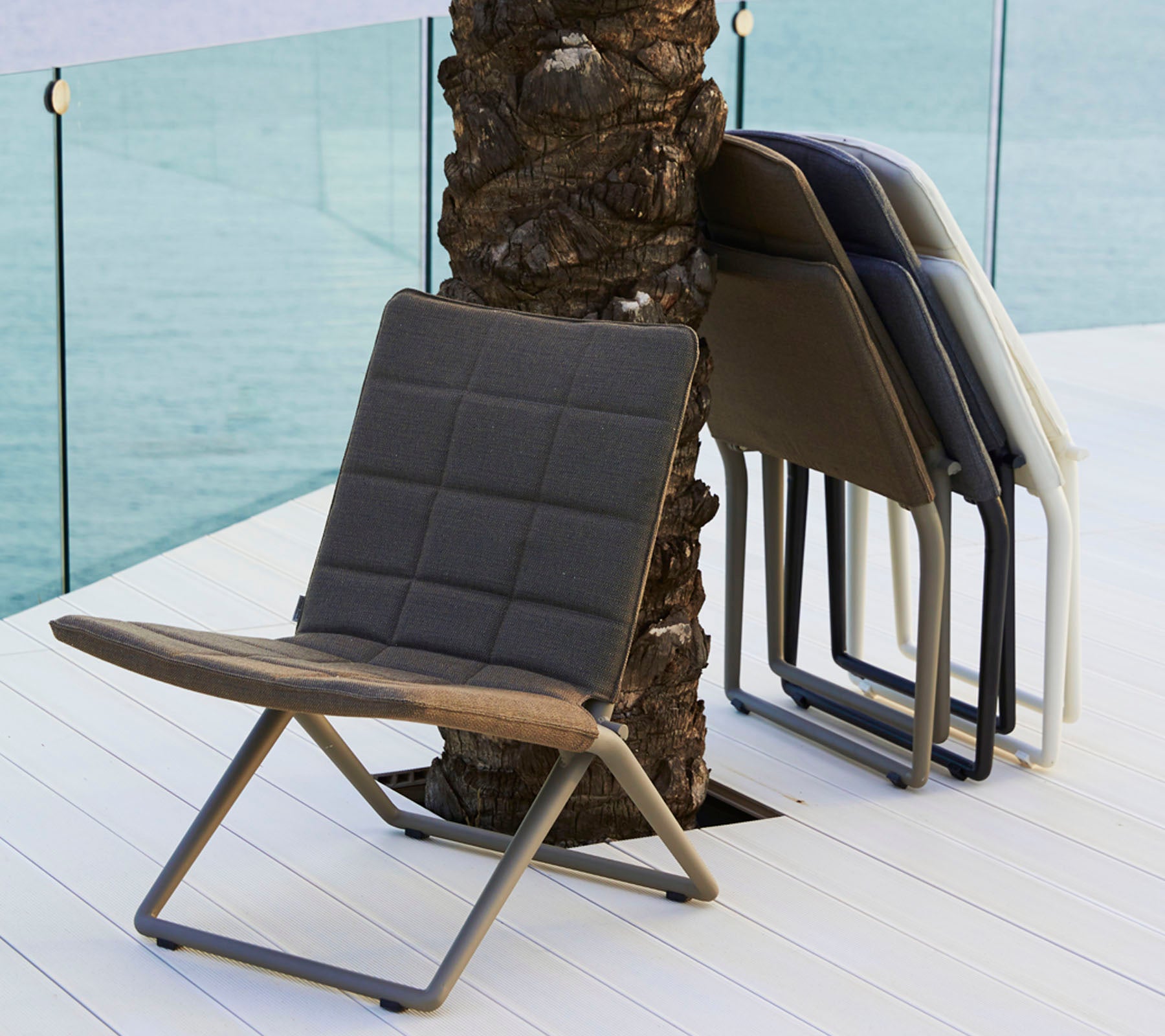 Deux chaises modernes et stylées de différentes couleurs, présentant un design contemporain avec un cadre en métal élégant, s'appuyant contre un palmier.
