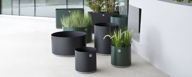Vases modernes noirs et verts avec de la verdure disposée dans un cadre contemporain.