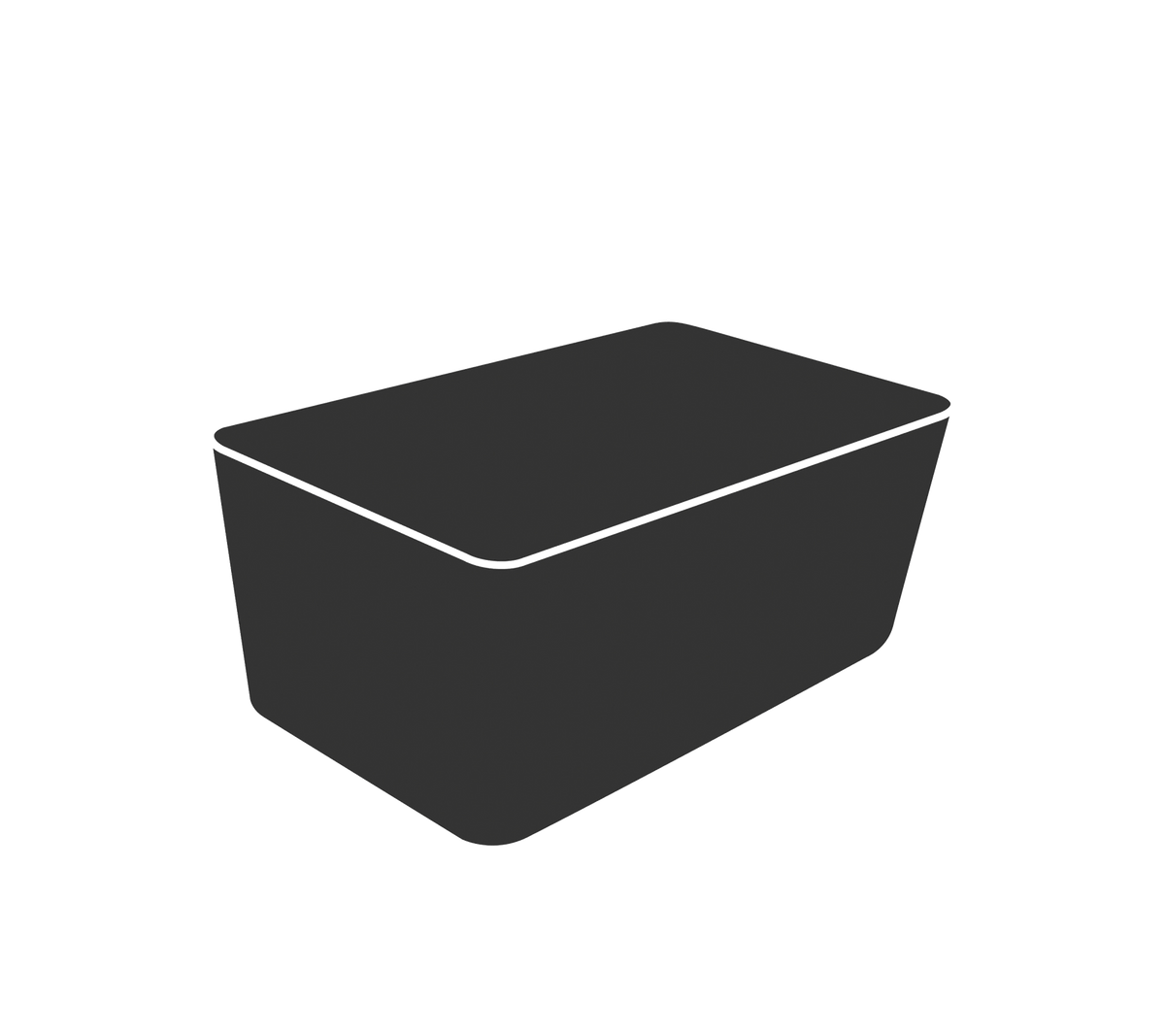 Un simple conteneur noir rectangulaire avec un couvercle plat, adapté au stockage ou à l'organisation.