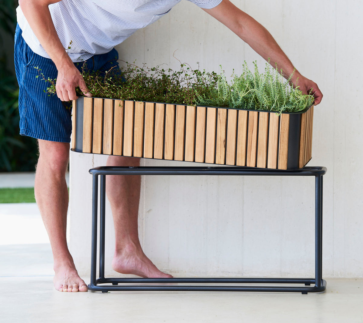Une personne arrange des plantes dans un jardinière en bois sur un support en métal élégant, mettant en valeur un mélange d'éléments de design naturels et modernes.