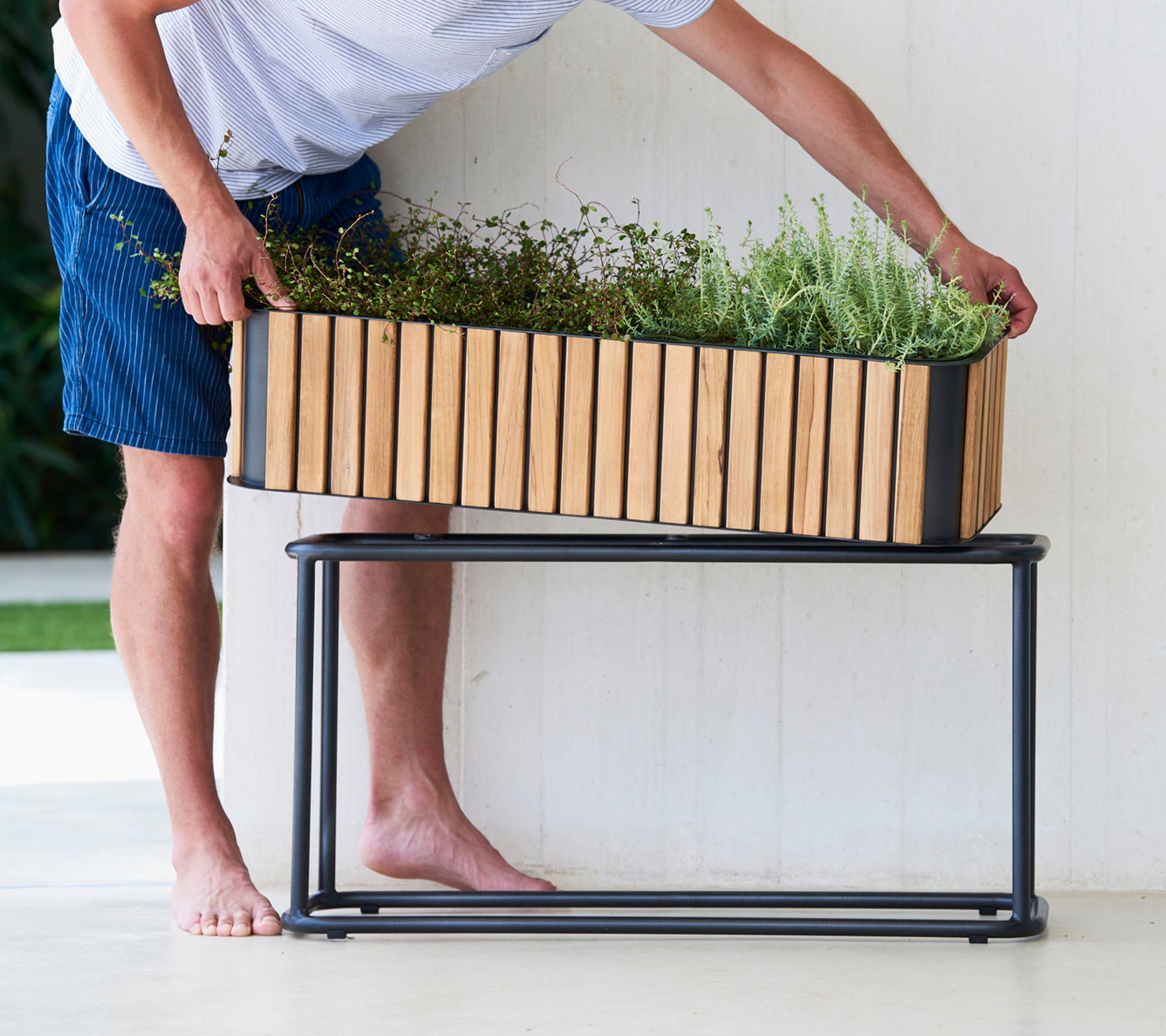 Une personne arrange des plantes dans un jardinière en bois sur un support en métal élégant, mettant en valeur un mélange d'éléments de design naturels et modernes.