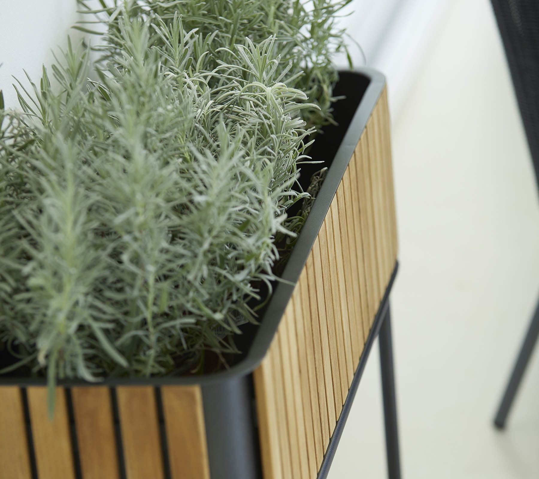 Plantes au design épuré avec un extérieur en lamelles de bois et des plantes vertes luxuriantes, ajoutant une touche de nature à l'environnement.