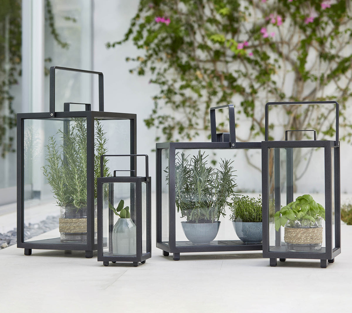 Quatre lanternes en verre géométriques avec diverses plantes en pot à l'intérieur, mettant en valeur un design moderne et la verdure.