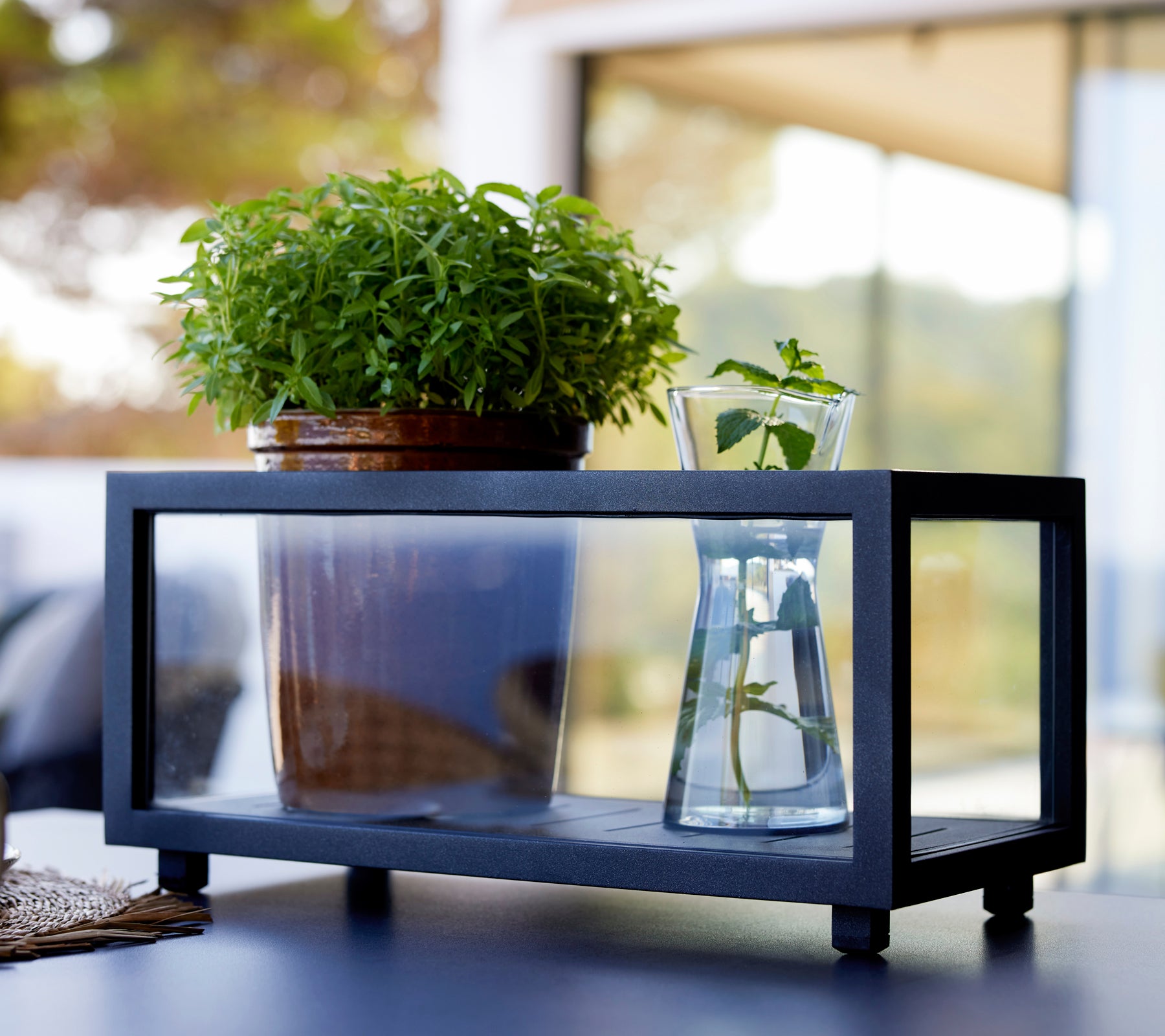 Boîte de jardin noire avec une plante verte et un vase en verre dans un cadre extérieur moderne.
