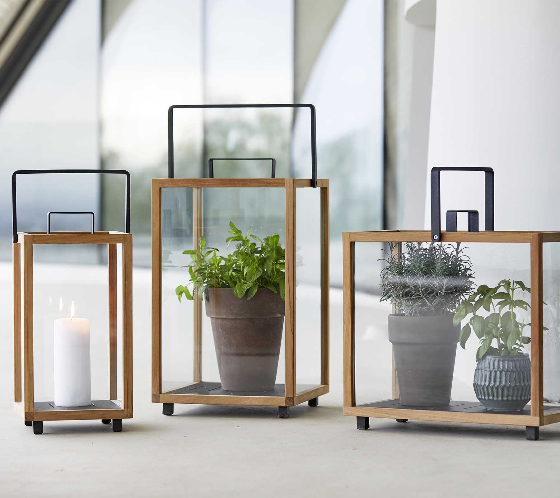 Trois lanternes en verre élégantes avec des cadres en bois, présentant une bougie et des plantes en pot à l'intérieur de chacune.