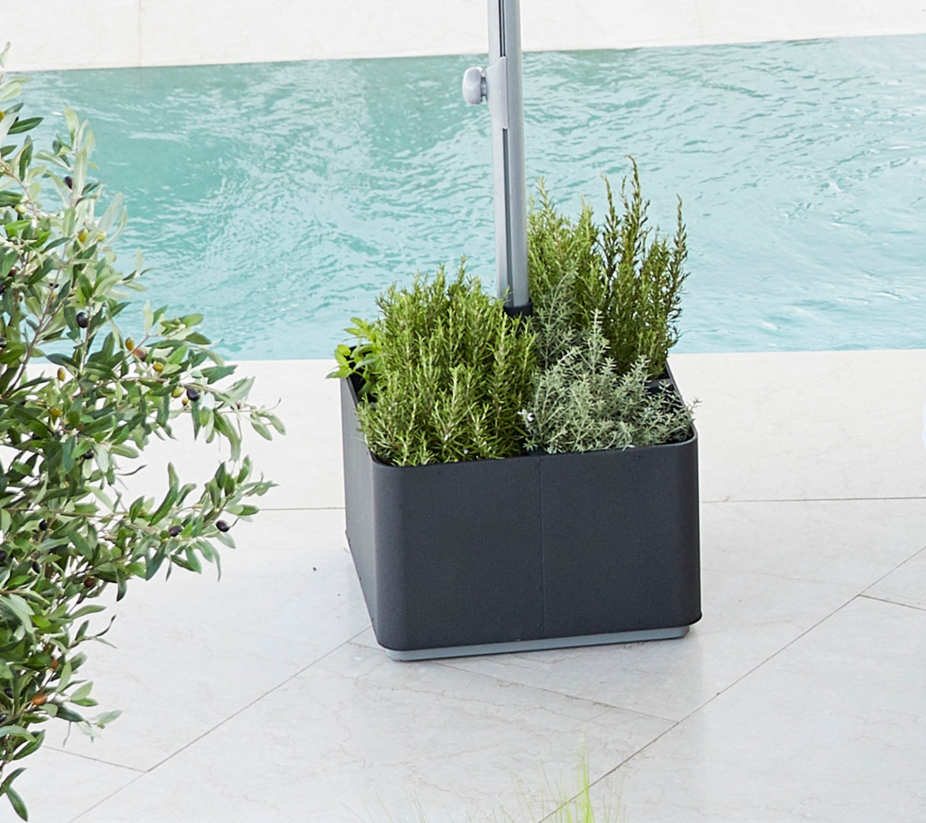 Des plantes remplies de verdure vibrante, avec diverses plantes placées à côté d'un plan d'eau, offrant une atmosphère fraîche et sereine.
