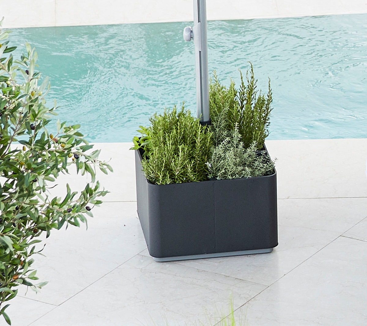 Des plantes remplies de verdure vibrante, avec diverses plantes placées à côté d'un plan d'eau, offrant une atmosphère fraîche et sereine.