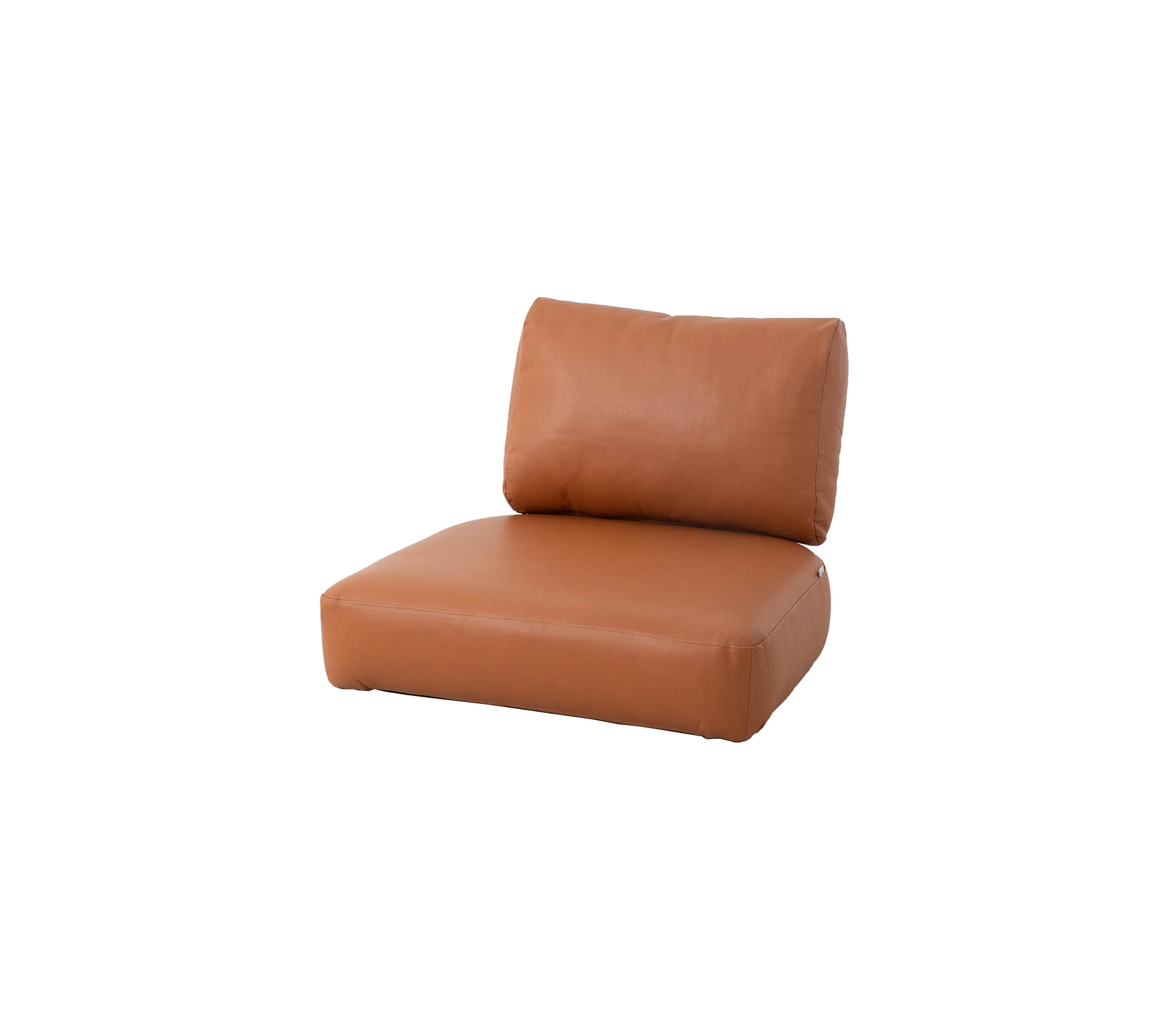 Coussin en cuir marron avec un dossier en peluche, conçu pour le confort et le style. Idéal pour des arrangements d'assise contemporains.