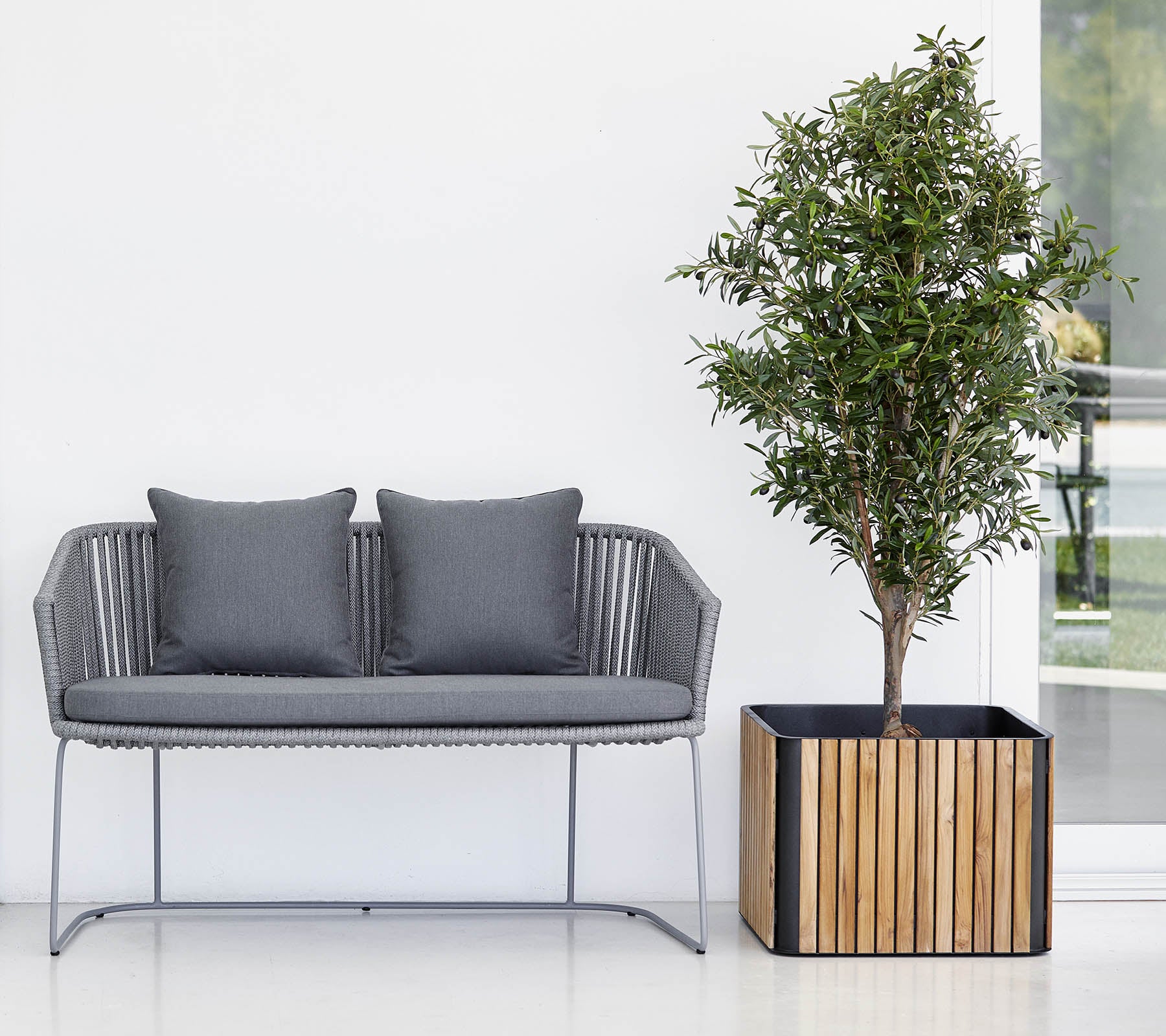 Canapé moderne avec deux coussins à côté d'un arbre en pot dans un pot décoratif, sur un fond propre et neutre.
