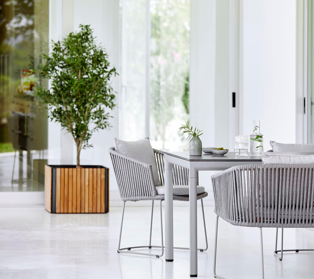 Combine jardinière plantes