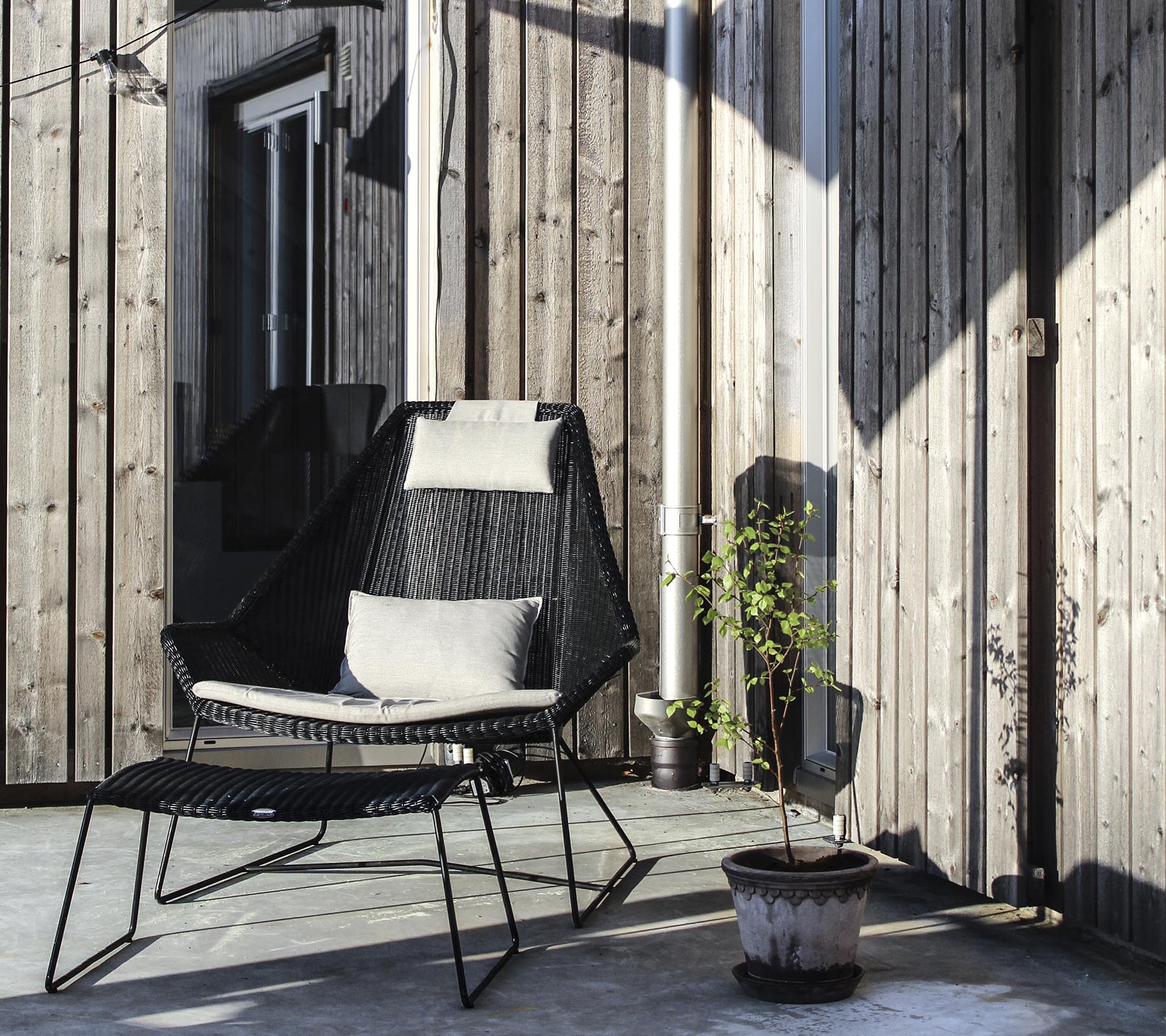 Une chaise noire élégante avec un coussin, positionnée à côté d'une petite plante en pot sur un fond en bois.