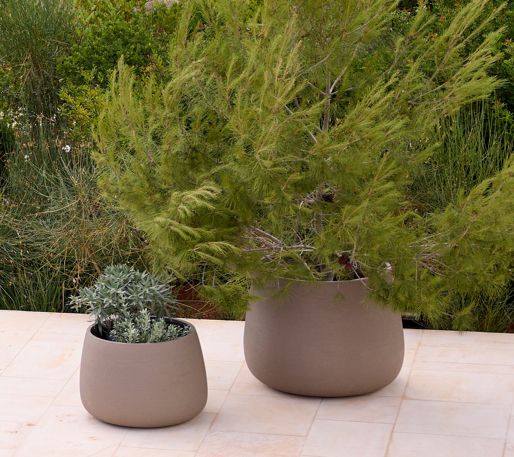 Deux jardinières modernes grises avec de la verdure dans un cadre de jardin extérieur.