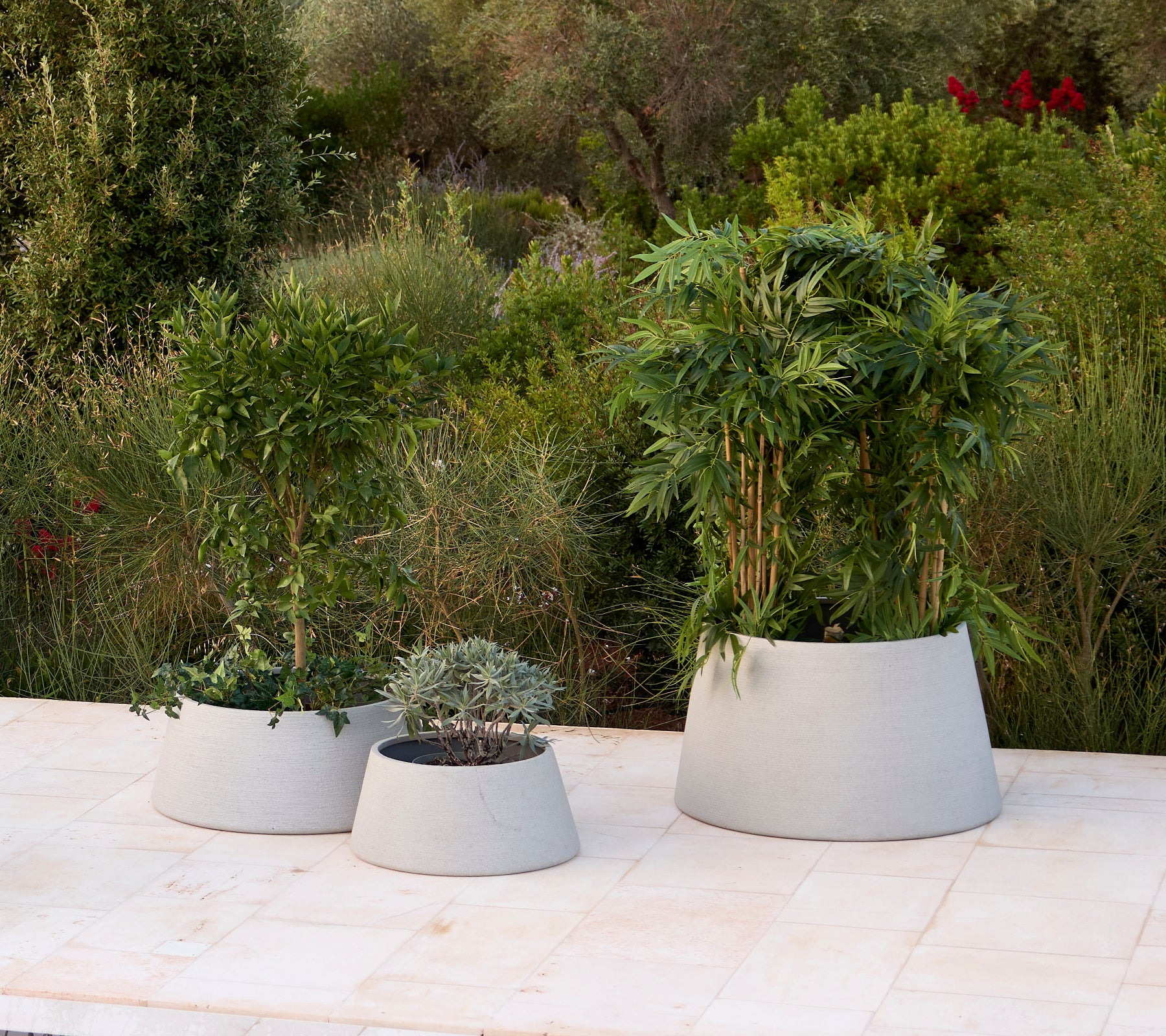 Trois jardinières modernes grises avec diverses plantes dans un cadre de jardin.