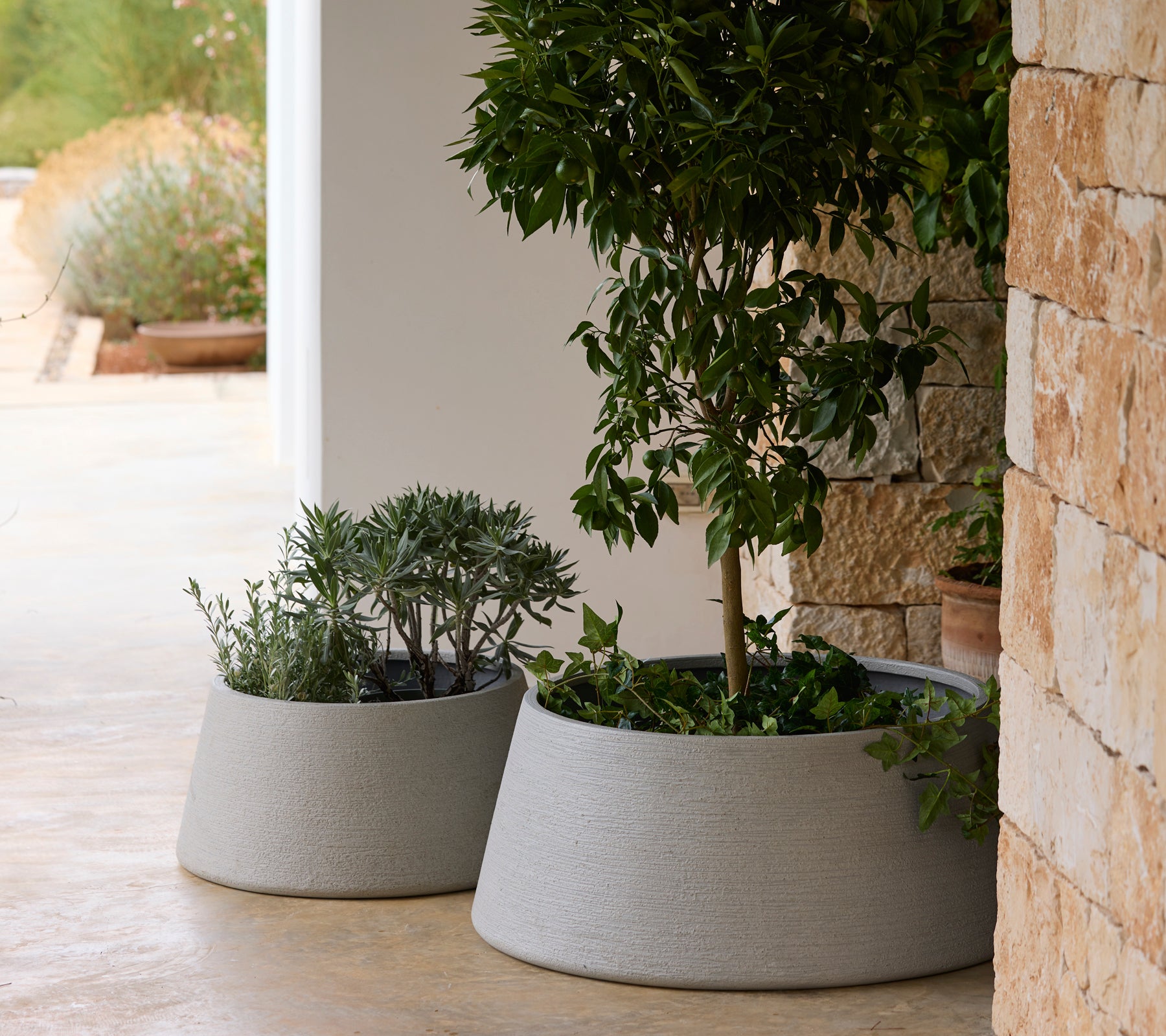 Deux jardinières modernes grises avec de la verdure dans un cadre extérieur.