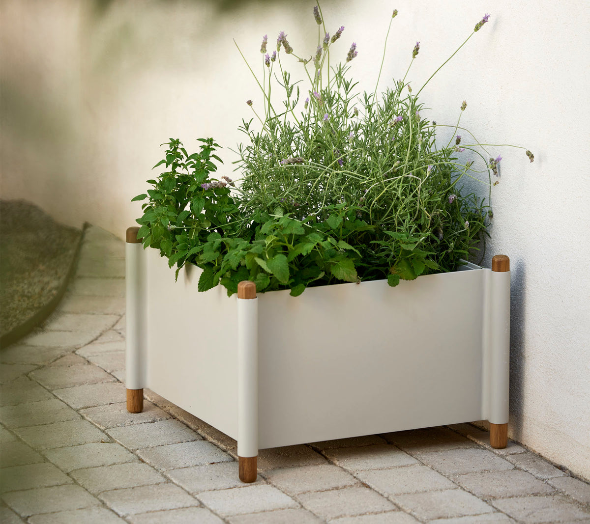 Une jardinière moderne remplie de diverses herbes et plantes vertes, avec des accents en bois naturel aux coins.