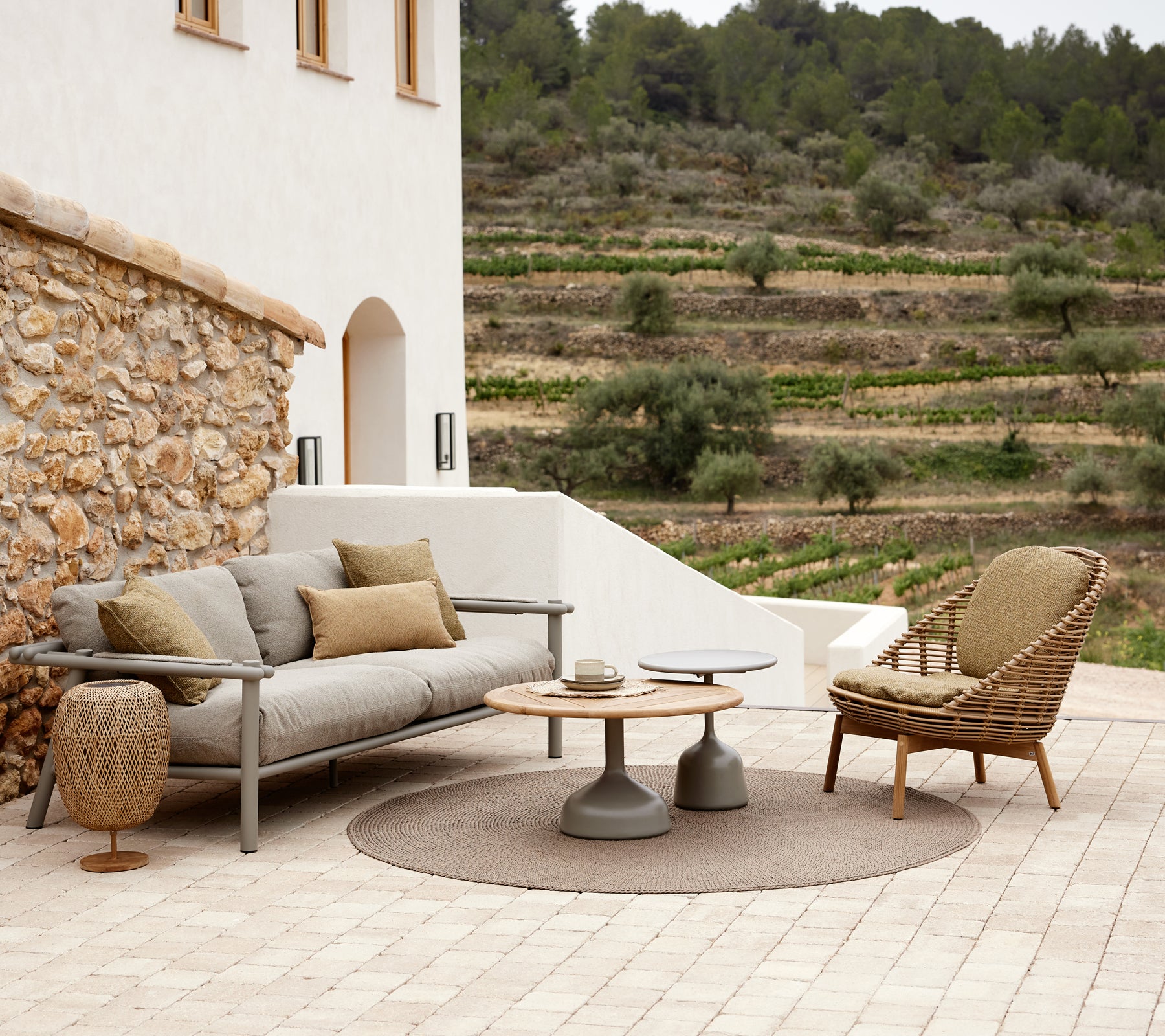 Un salon élégant avec un canapé confortable avec des coussins, un tapis rond, une table d'appoint moderne et un fauteuil en osier, entouré de verdure.