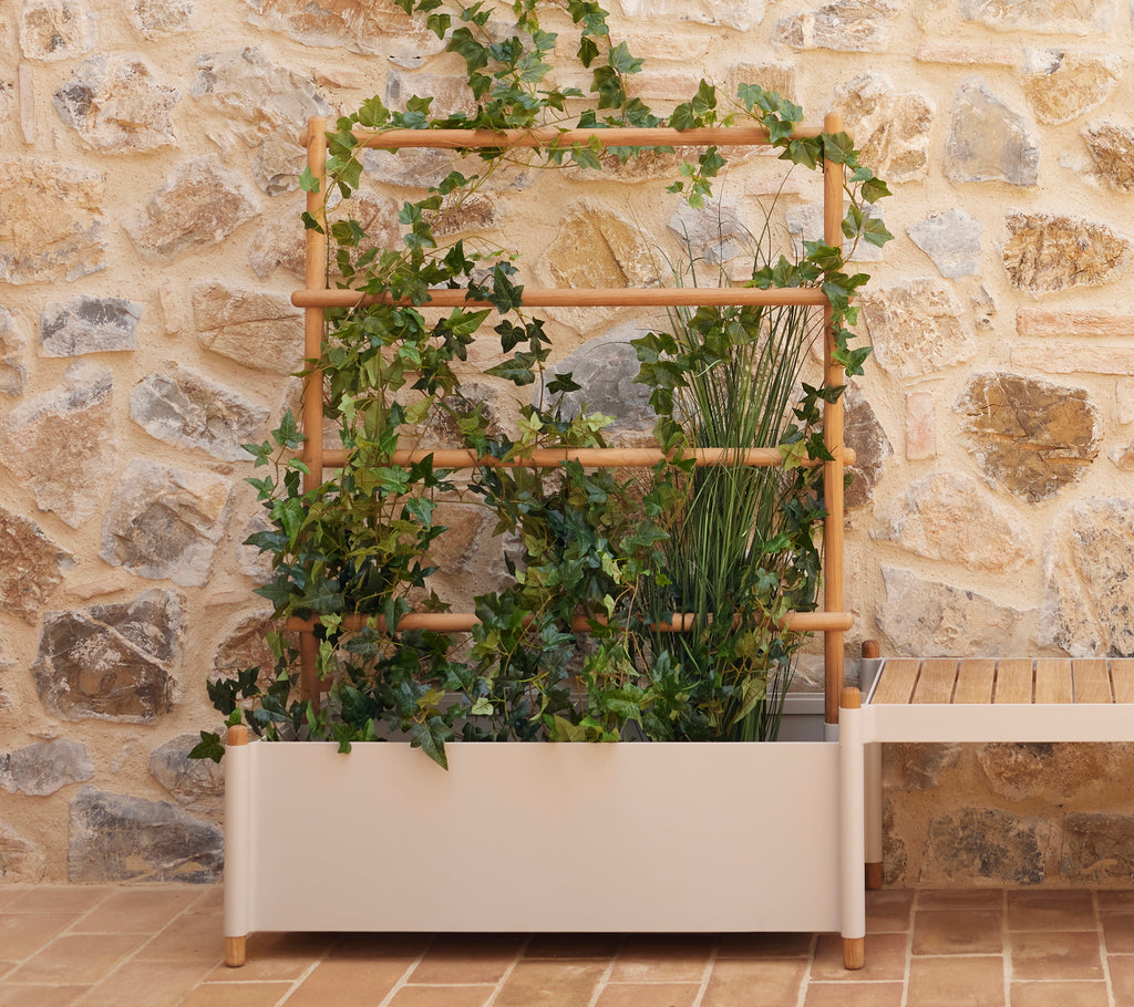 Grand pot de fleurs avec un treillis en bois, orné de vignes et de plantes verdoyantes, placé contre un fond en pierre texturée.