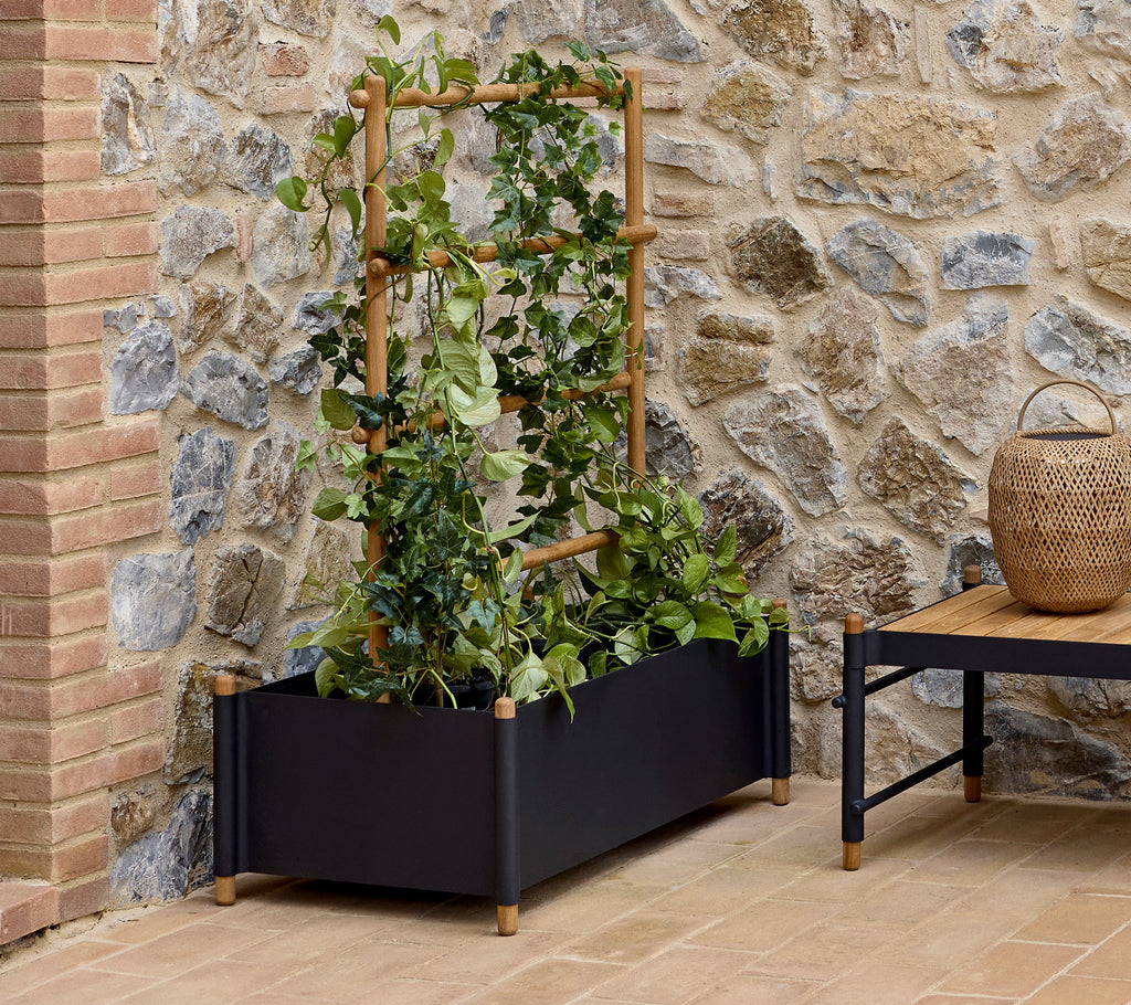 Grand pot de fleurs avec des bâtons décoratifs, présentant de luxuriantes vignes vertes, contre un mur en pierre avec une esthétique naturelle.