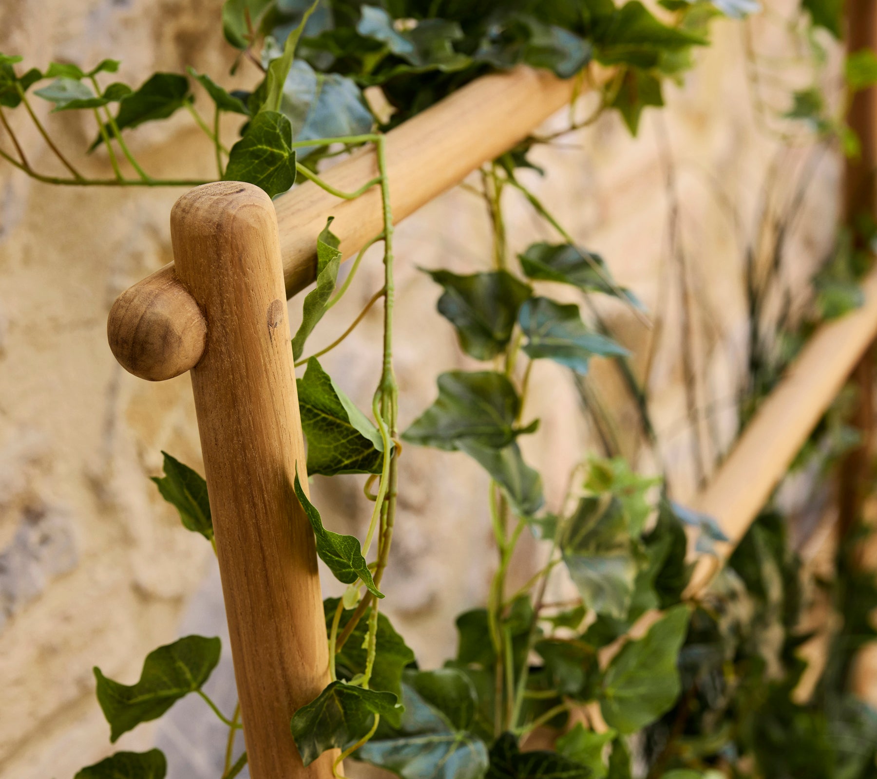 Un pot en bois avec des vignes vertes luxuriantes qui tombent, ajoutant une touche naturelle à l'affichage.