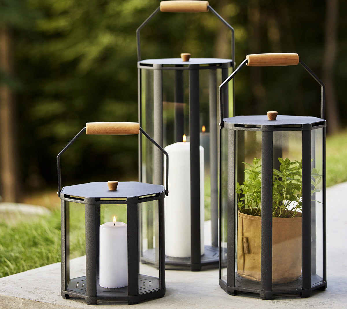Trois lanternes avec des poignées en bois, mettant en valeur des bougies et des plantes, sur un fond naturel. Idéal pour améliorer l'ambiance.